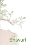 Entwurf